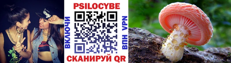 Галлюциногенные грибы Cubensis  Ивдель 
